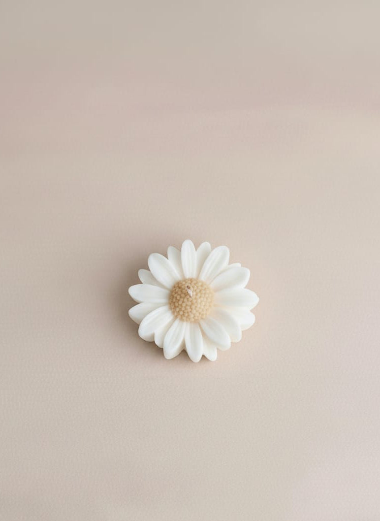 Madeliefjes (Meedere kleuren)